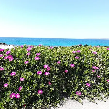 Baia Near The Apartamento *